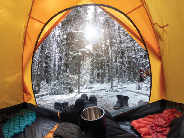 Camping yellow tent with snow in forest