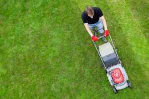 Man mowing a green lawn