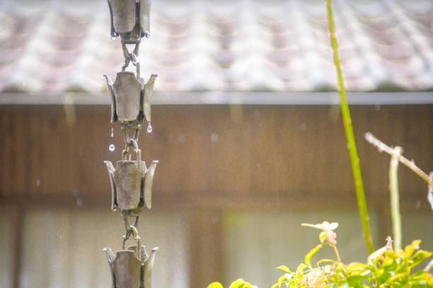 Rain Chain on a rainy day dripping down