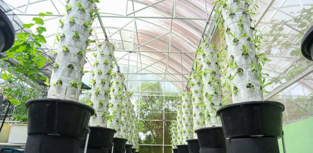 Aeroponic Farming towers