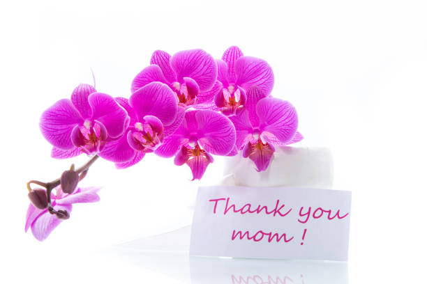 Beautiful orchid flower with a thank you mother sign