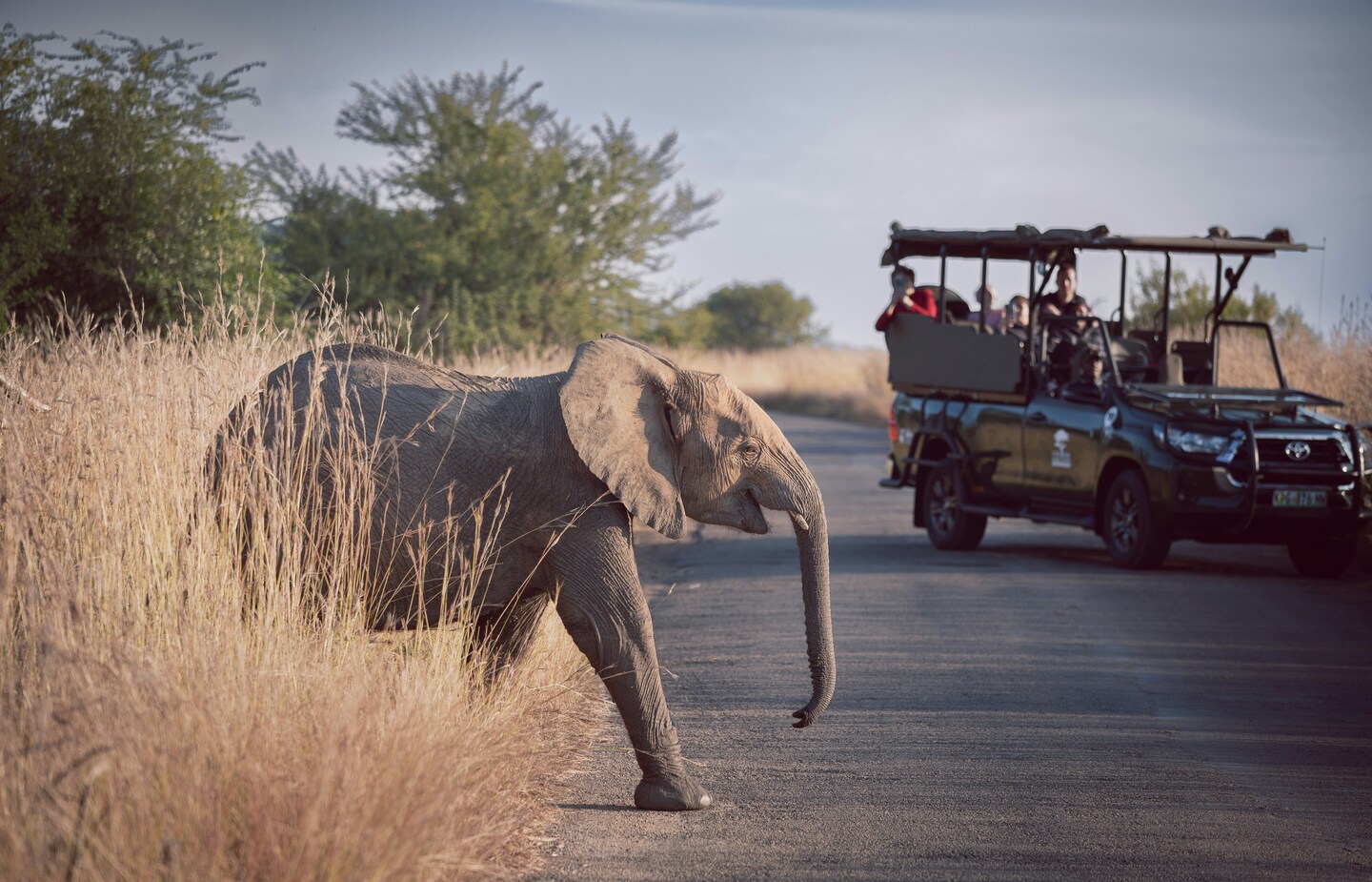 Pilanesberg National Park