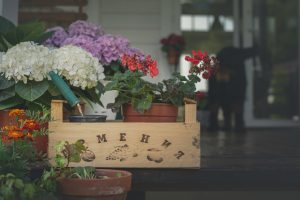 flowers in box