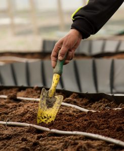 Soil