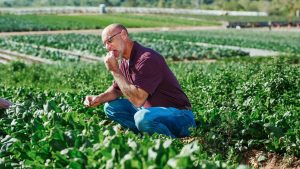 Budget-friendly ways to eat more sustainably