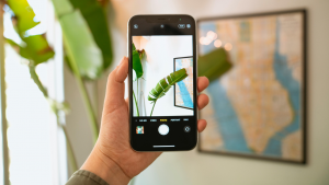 10 best plant apps