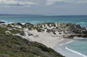 De Hoop