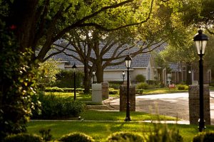 A sunny morning on a home with garden trees on the lawn.