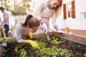 Shot of a family gardening together sorting out plant companionship