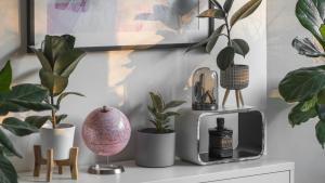 Minimalist houseplants