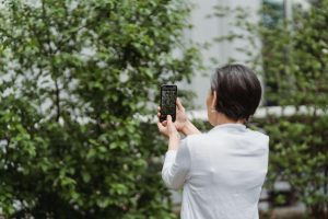 Plant Apps