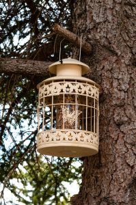 bird feeder