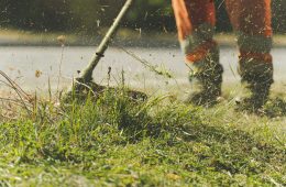 How often should you mow your lawn?