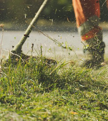 How often should you mow your lawn?