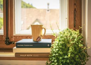 Tips to get rid of fish moths in your clothes and books