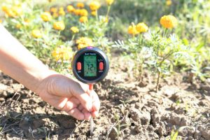 Soil Tester Measuring temperature, moisture content of the soil.