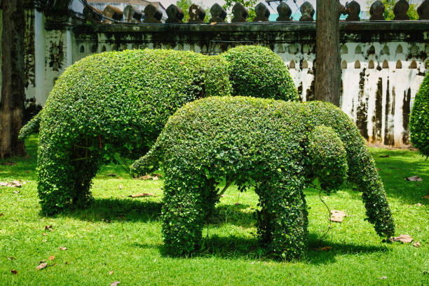 Topiary Elephant Shaped Bush