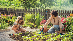 Less gravel, more greenery - inspiration for challenging and compact gardens