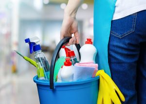 Spring cleaning kit