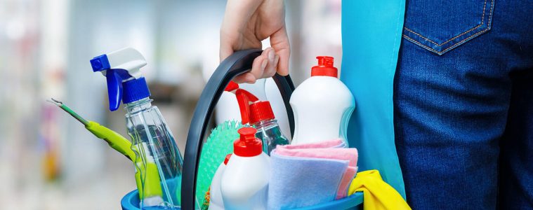 Spring cleaning kit