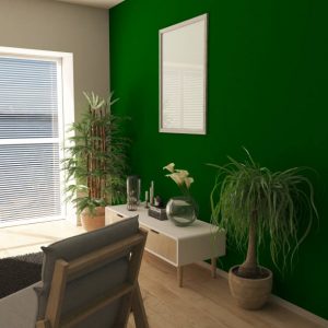 Green Accent wall with plants