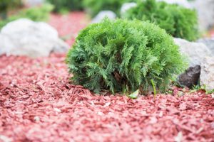 Decorative Cypress mulch bark, mulch, mulching.