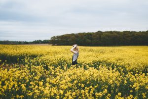 Floral festivals and wildflower detinations to visit in SA