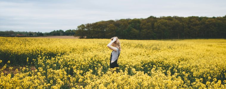 Floral festivals and wildflower detinations to visit in SA