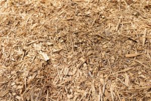 New cypress type of tree mulch that has been spread out on the ground surface in an empty flower bed on a sunny day.