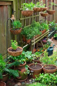 Vertical container gardening in urban areas to enjoy the benefits of gardening.