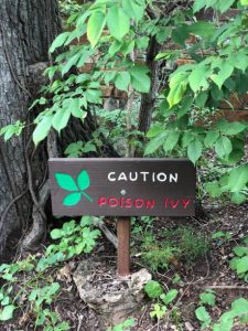shot of a warning sign for poison ivy