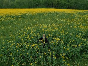 How ecotherapy heals: the science and practices for reconnecting with nature