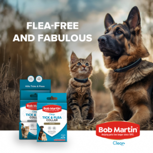 Flea-ing the scene: Tips on defleaing your pet by Bob Martin