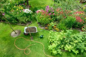 Garden - elevated maintenance