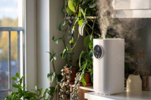Plant care. Modern air humidifier at home, moistens dry air surrounded by houseplant, soft focus on steam. Humidification, comfortable living conditions. Diffuser, climate equipment for apartment.