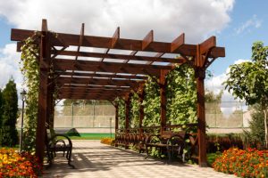 Wooden pergollas from natural wood with comfortable benches in a modern country village on a sunny summer day. The paved path is laid past flower beds, ornamental shrubs and trees. Russia. Close-up