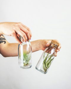 feey-dV-w0DRUREs-unsplash