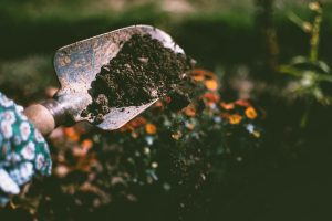 Gardening spade for essential gardening