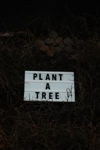 Plant a tree sign to win against climate change