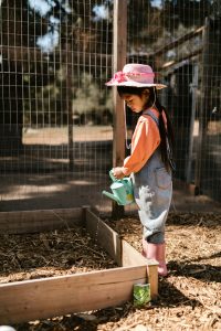 pexels-rdne-7782166-min