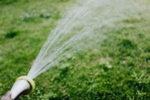 Water week