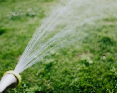 Water week