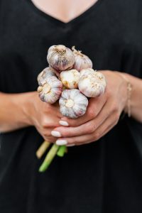 How to grow your own garlic