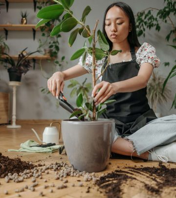 pexels-rocketmann-prod-9507322 copy