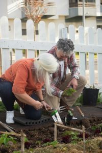 April gardening