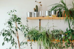 8 unique ways to decorate your walls without repainting