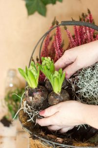 April gardening to-do list