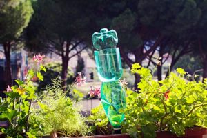 plastic bottles used for irrigation