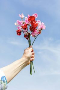 April birth flowers