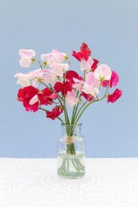 April birth flowers